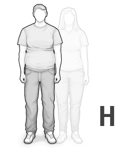 Tαξινόμηση σωματοτύπτων HEIA - Τύπος H