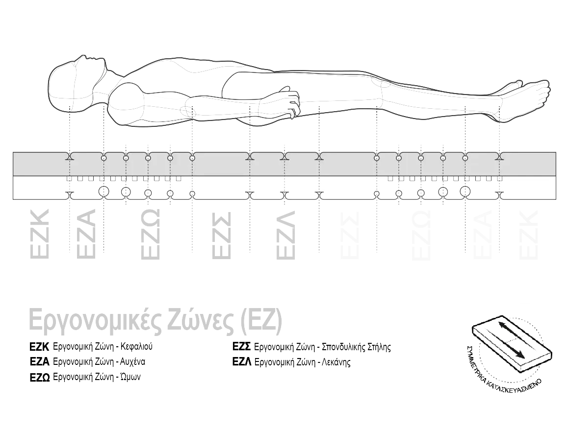 Matratzenkern der BODYGUARD® Anti-Kartell-Matratze zeigt die verschiedenen Ergonomiemodule. Text: symmetrisch aufgebaut